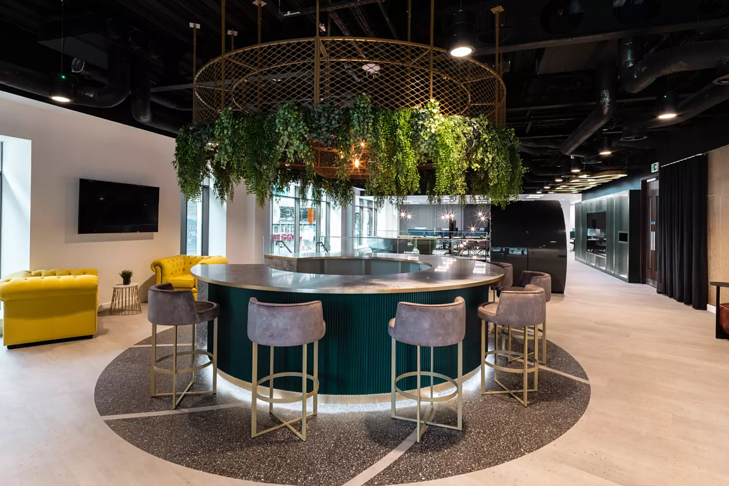 Biophilia in Leeds office