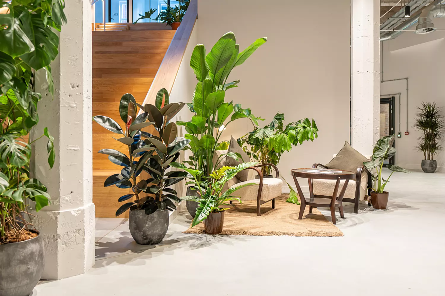 Biophilia at Kinrise