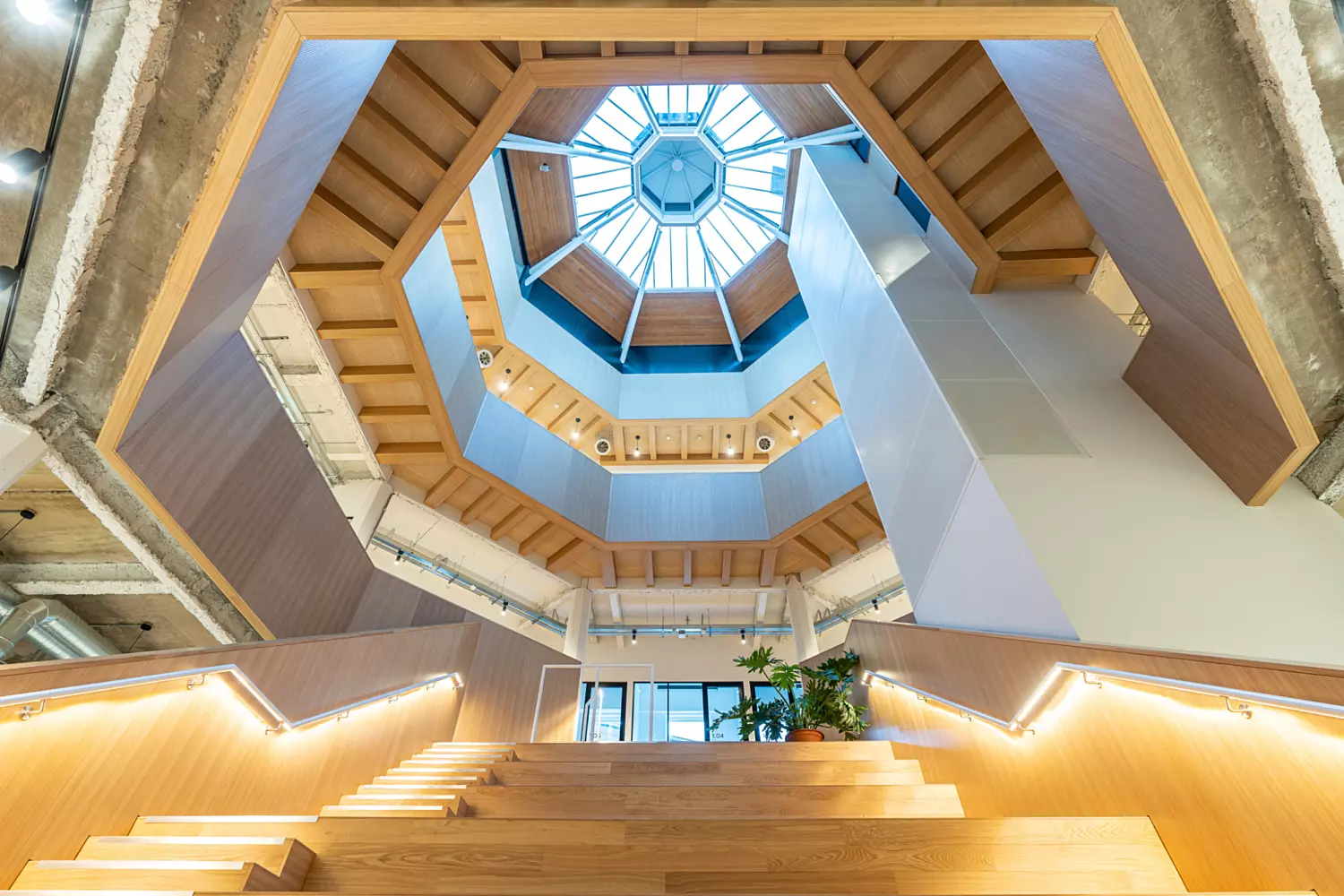 Natural light flooded atrium at Kinrise Birmingham
