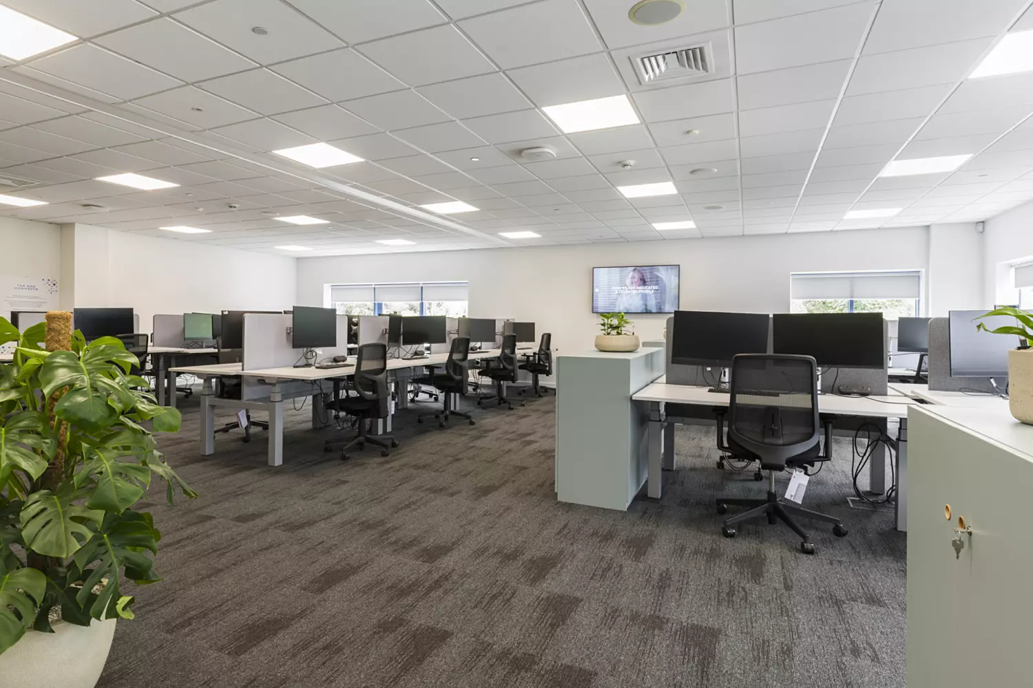 A modern office space with multiple workstations, each fitted with dual monitors and ergonomic chairs. The layout is clean and organised, with decorative plants placed throughout. Large windows bring in natural light, complemented by recessed ceiling lighting. A wall-mounted television and neutral carpet flooring complete the professional setting.