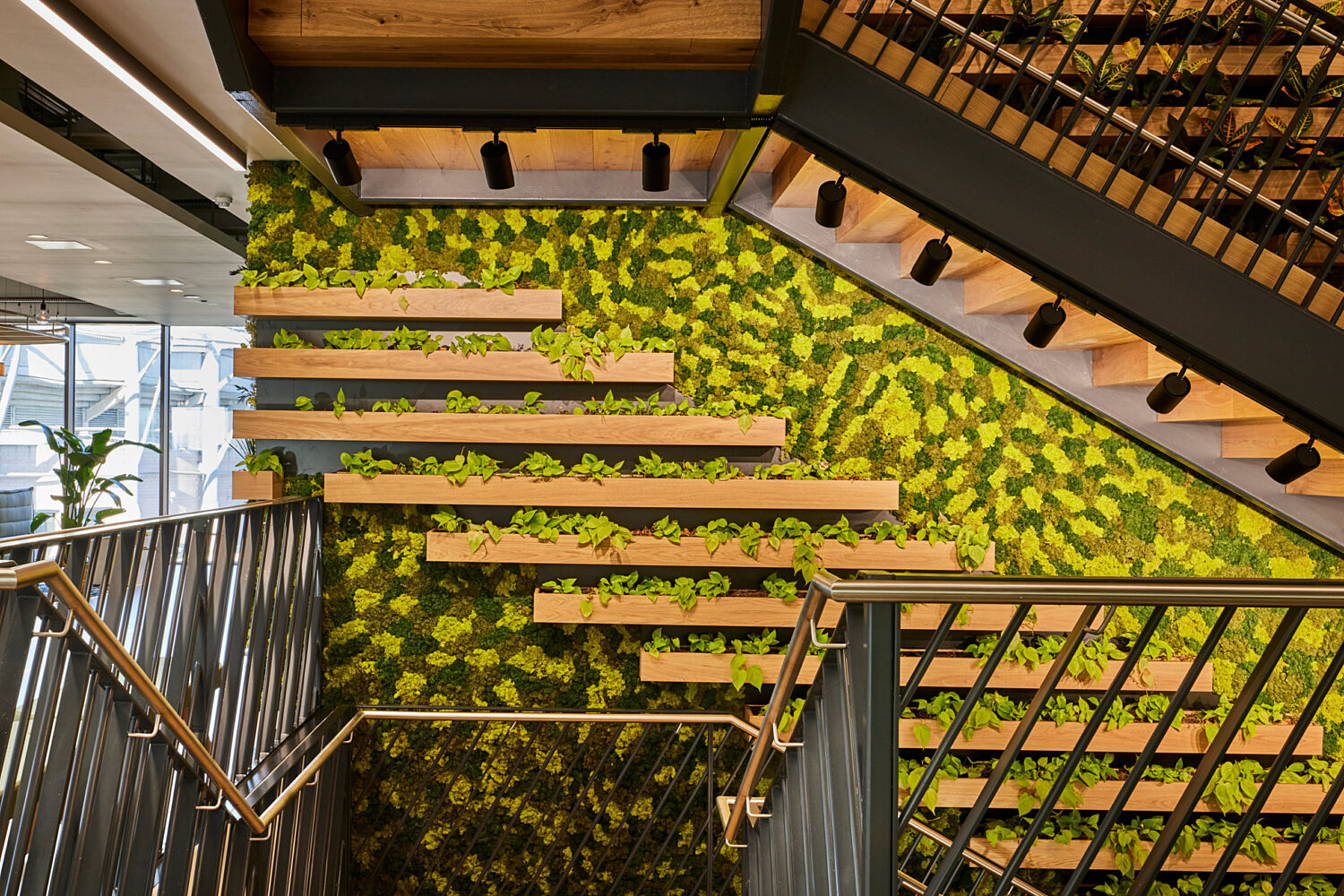 Bespoke joinery and biophilia aligns Newcastle office staircase