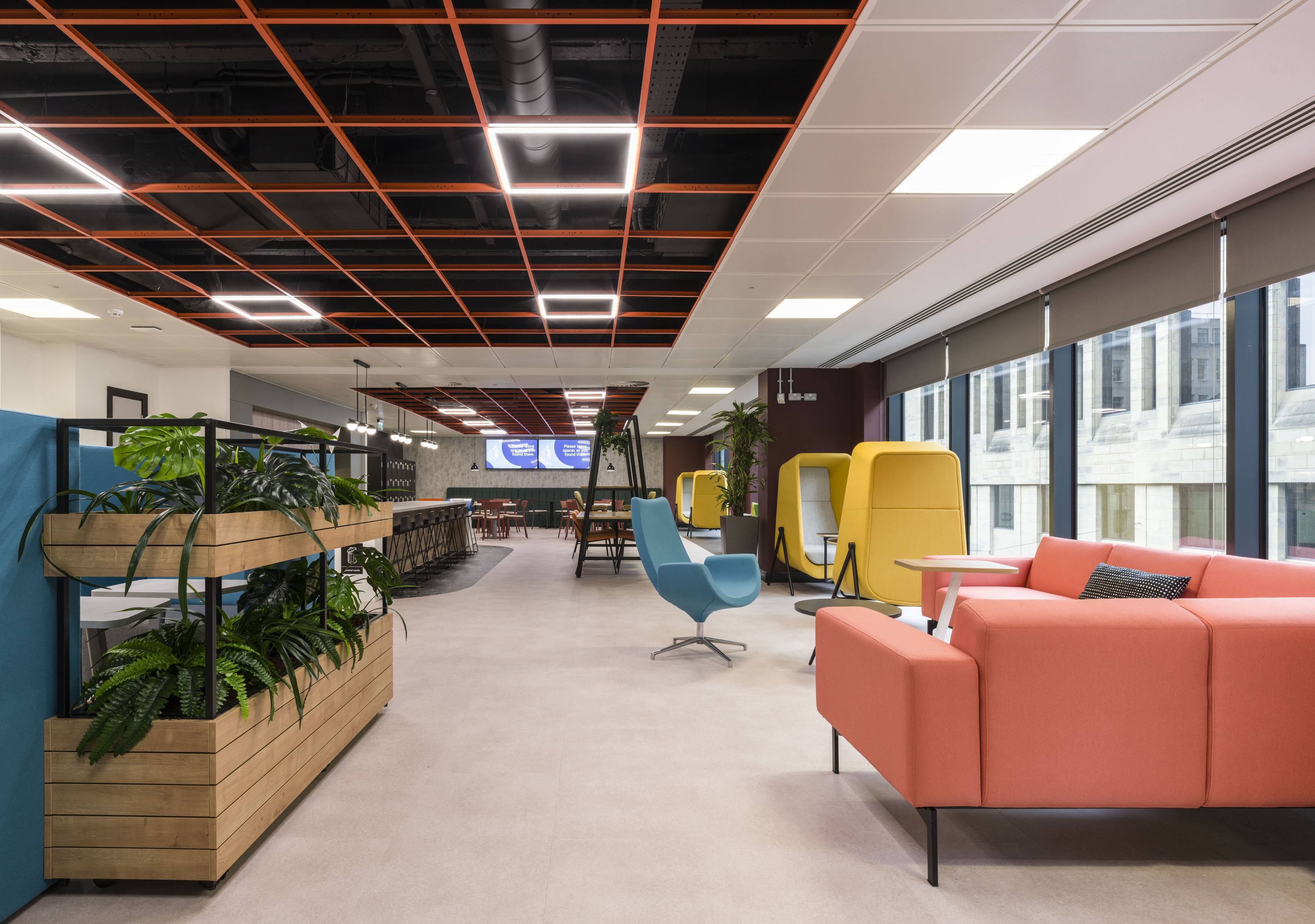 The image shows a modern office fit out and office design with a variety of seating options and decor. On the left are plants in wooden planters, a blue chair sits in the centre and a pink couch is on the right. In the background are yellow and green enclosed seating areas, tables, chairs and large windows that let in natural light. The ceiling features an orange grid pattern with recessed lighting.