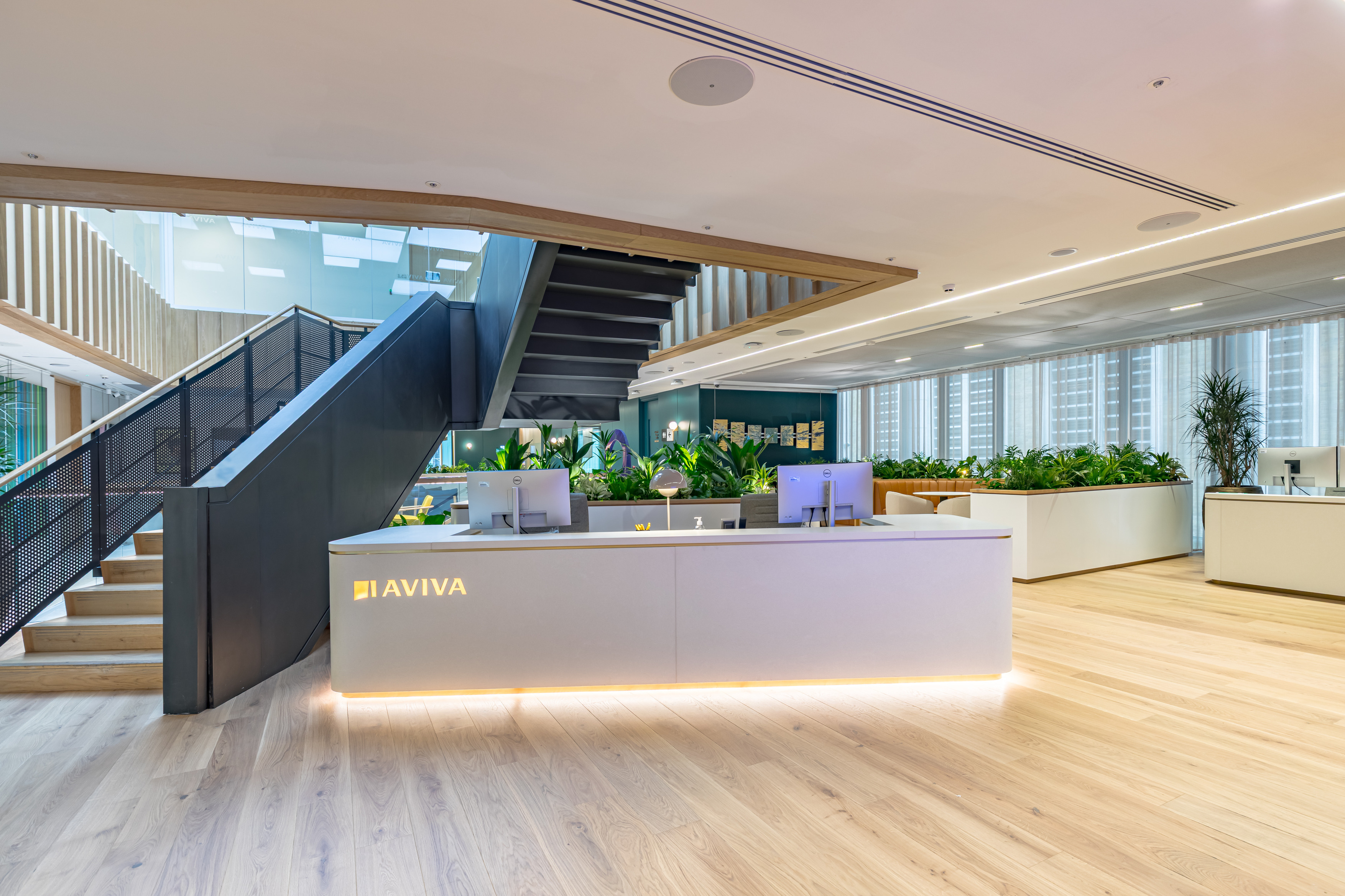 A bright modern office reception area with a white desk featuring the Aviva logo, two computer monitors and soft underlighting. Behind the desk are large planters filled with greenery. A wide wooden staircase with a black metal balustrade rises to an upper floor. The space has light wooden flooring, floor to ceiling windows with blinds and a mix of open workspaces and plants.