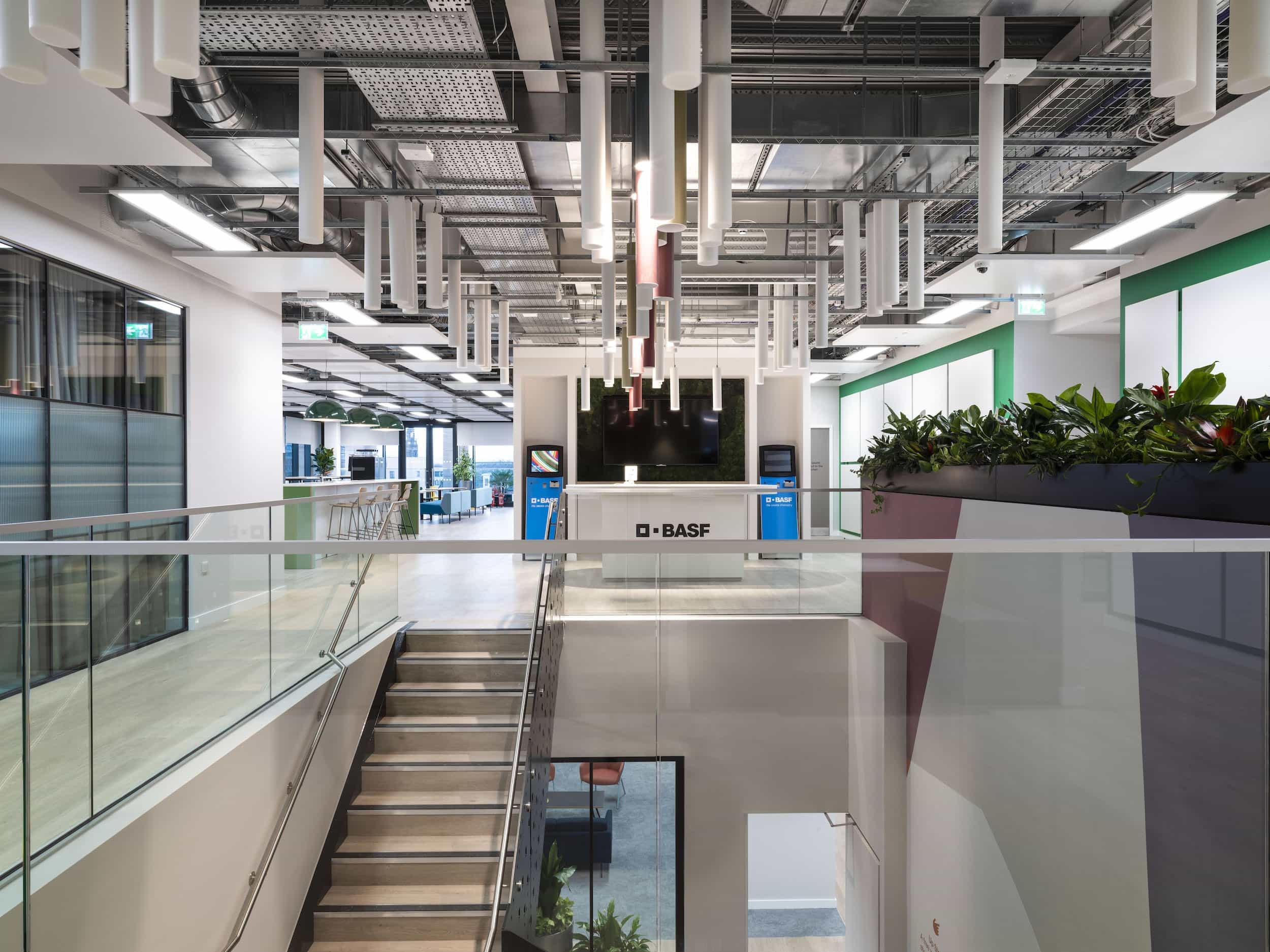 BASF office fit out