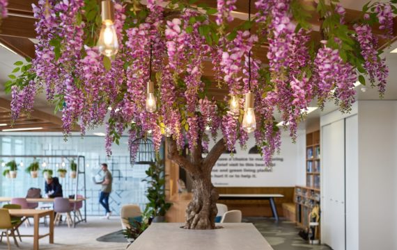 Biophilic design in the office