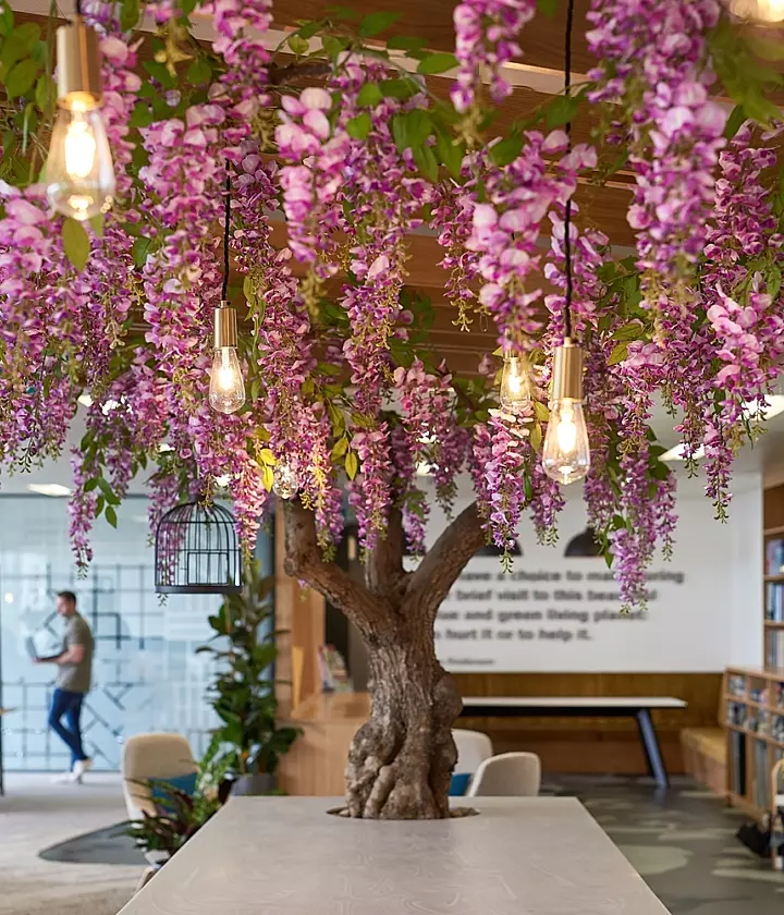 Biophilic design in the office