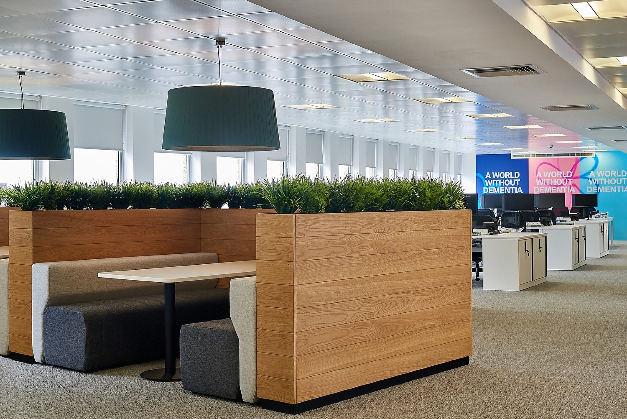 Alzheimers Society biophilic office design and fit out.jpg