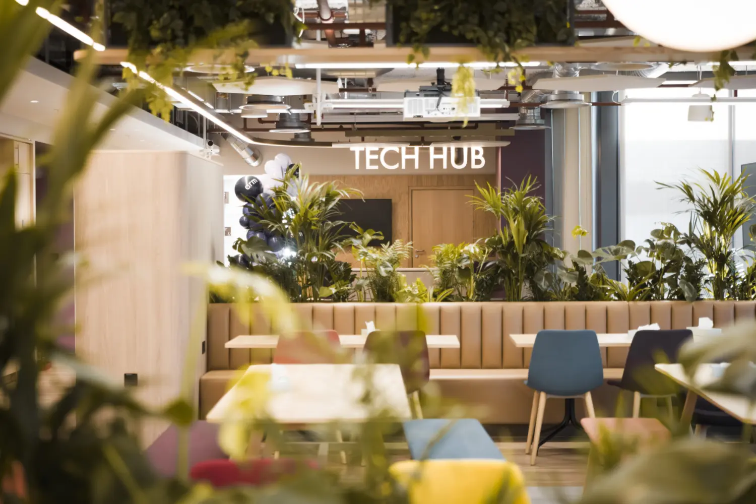 A modern office space with natural light, filled with plants around booth seating and colourful chairs. A sign reading "TECH HUB" is mounted on a wall in the background above a screen. The ceiling has exposed services and hanging greenery.