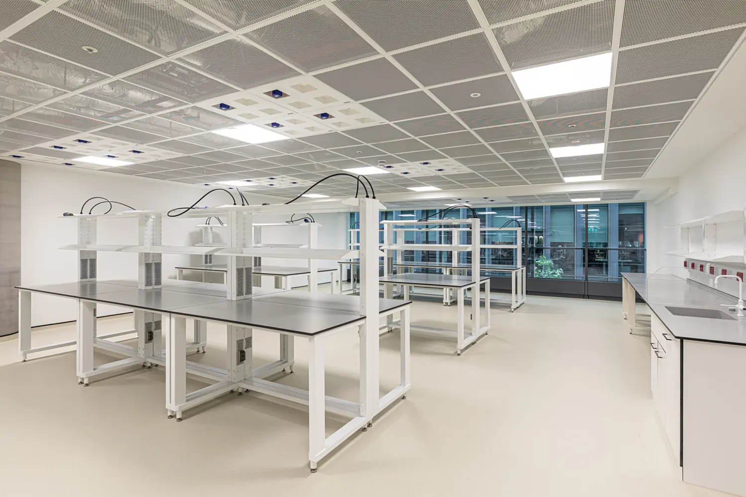 Bright laboratory interior with clean white finishes and modular benching arranged in rows. Fixed-height workstations with integrated shelving sit beneath a perforated acoustic ceiling, while glazed windows at the rear bring natural light into the space.