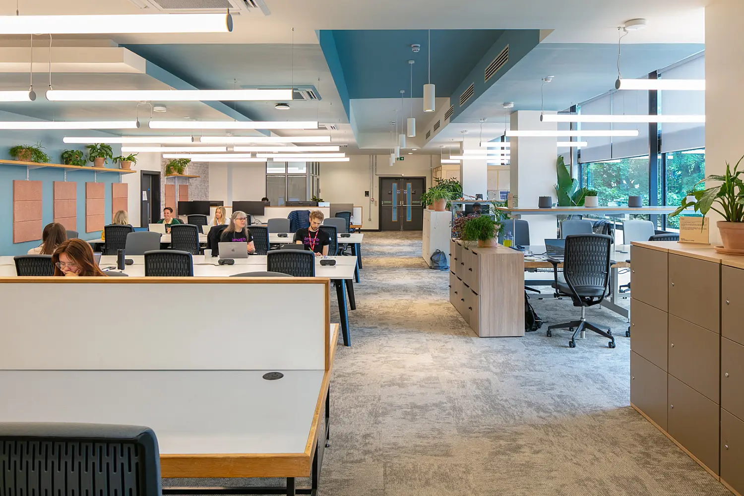 Open-plan office with long shared desks, ergonomic task chairs and employees working throughout the space. The interior features a blue and white ceiling with suspended linear lighting, acoustic wall panels and large windows providing natural daylight. Storage units and shelving with integrated planting help define different work zones, while the neutral colour palette and biophilic elements create a bright, contemporary working environment.