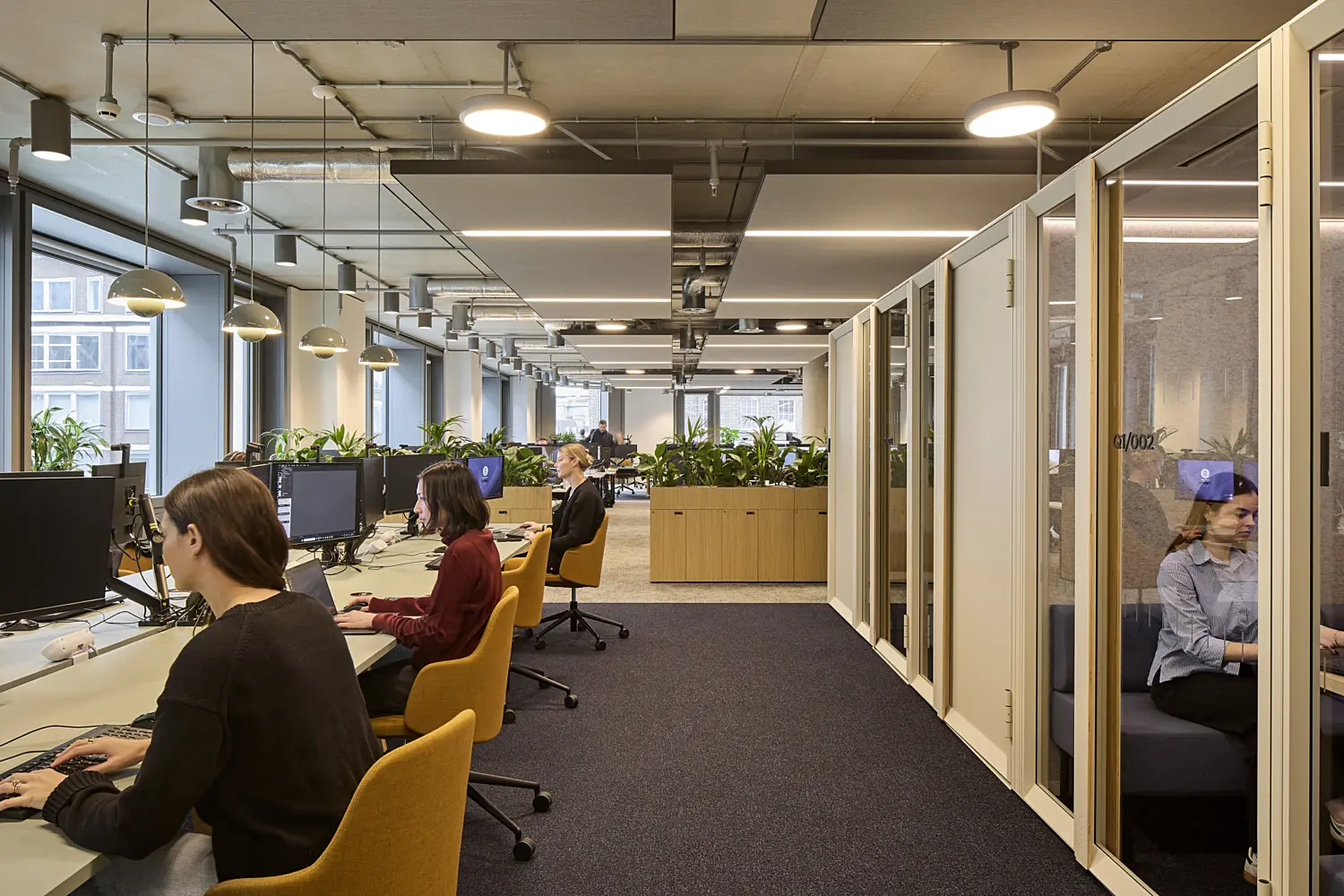 Open-plan office with rows of desks, computer monitors and task chairs beside large windows. Glazed acoustic booths line one side of the space, while planters filled with greenery separate work areas. Several people are seated at desks and in meeting booths, with exposed services, suspended acoustic panels and pendant lighting creating a modern, contemporary workplace environment.