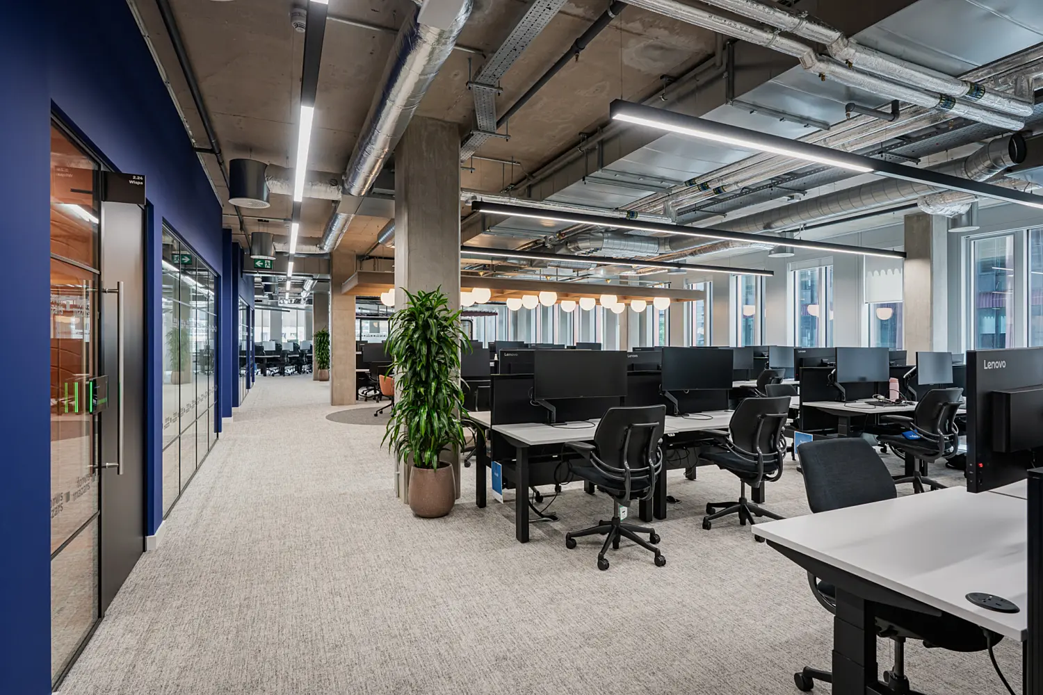 Open-plan office workspace featuring rows of desks with computer monitors and ergonomic task chairs. Large windows provide natural daylight, while exposed ceiling services, suspended linear lighting and concrete columns create an industrial-inspired aesthetic. Blue feature walls, glazed meeting rooms and indoor planting add colour and visual interest to the modern workplace environment.