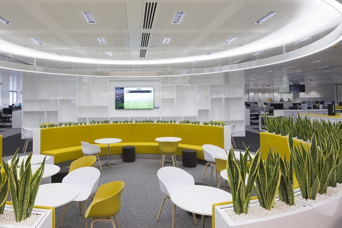 GVA biophilic office fit out