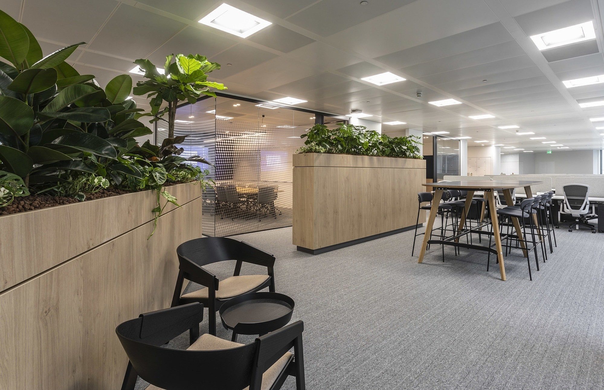 Link open plan office fit out