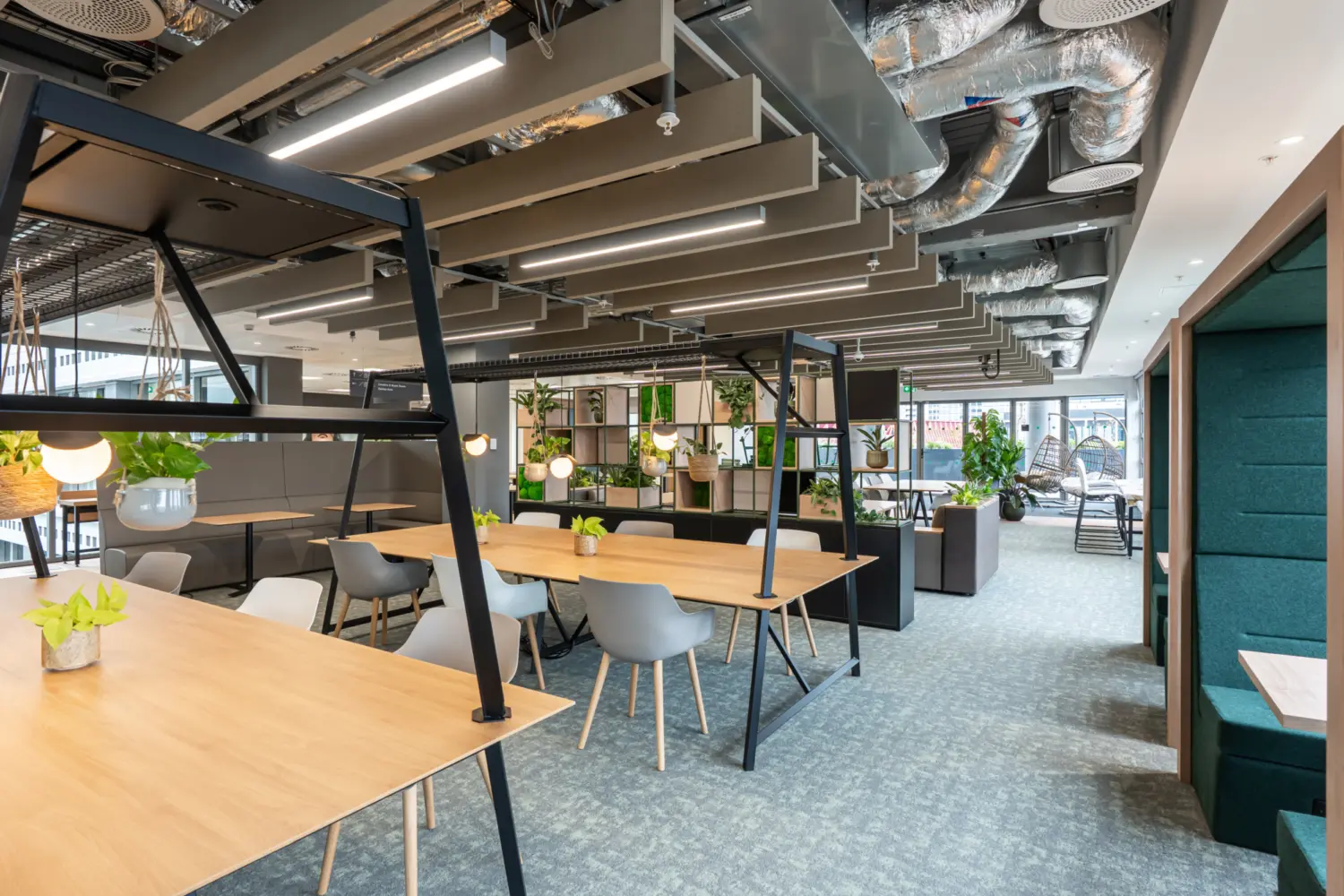 A modern open workspace with long wooden tables supported by black metal frames, surrounded by light grey chairs. Overhead, exposed ceilings display ducts, cables and suspended acoustic panels. The space features abundant greenery, including plants on shelves and hanging planters. To the right, there are teal upholstered booth seating areas with integrated tables. Large windows at the far end bring in natural light and reveal an outdoor view, while the overall design uses soft colours and natural materials to create a relaxed working environment.