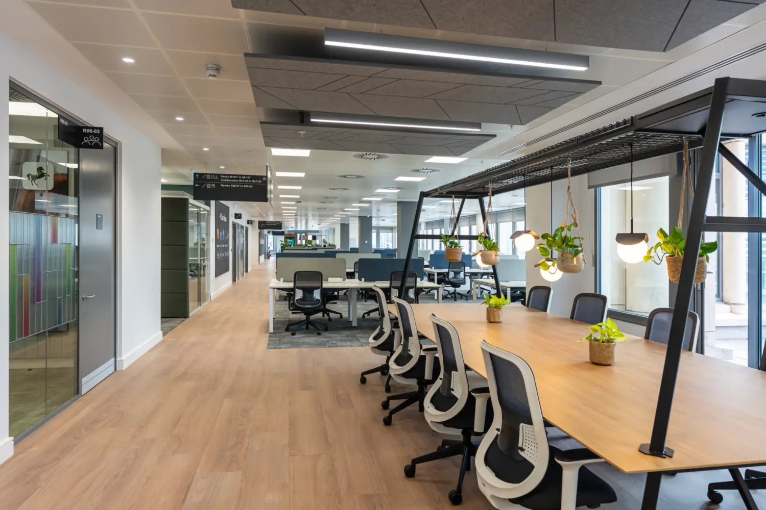 A modern open‑plan office with light wood flooring and long shared desks made of pale timber, each equipped with ergonomic task chairs. Overhead, grey acoustic panels with integrated linear lighting run along the ceiling. A central workstation structure made of black metal supports hanging plants and pendant lights above the desk surface. To the left, a glass meeting room with colourful vertical panels is visible. Further into the background, additional desks, screens and collaborative areas extend along the length of the bright workspace.