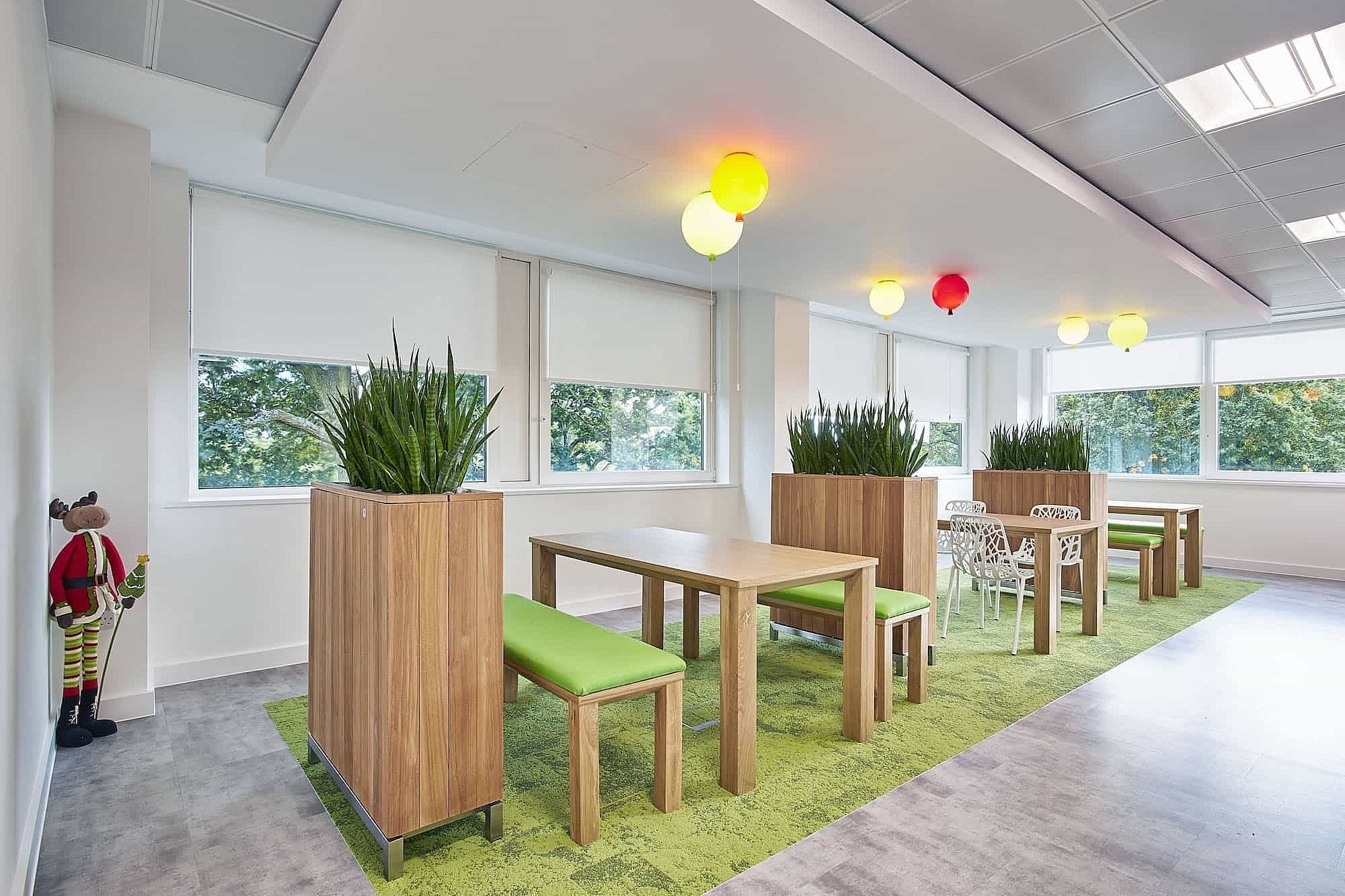 Phoebus biophilia in office fit out