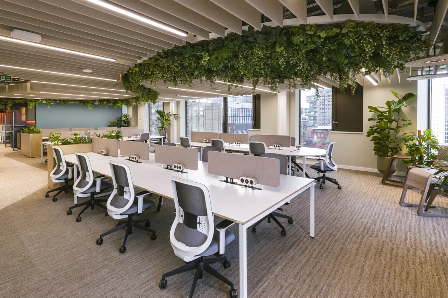 An open plan workspace with rows of white desks and ergonomic chairs arranged in clusters. Above the desks, a large suspended feature filled with dense greenery runs across the ceiling, with slatted acoustic panels surrounding it. The space is lined with tall plants and has full height windows along the far wall. Soft seating and additional work areas sit toward the back of the room, creating a calm, biophilic environment.