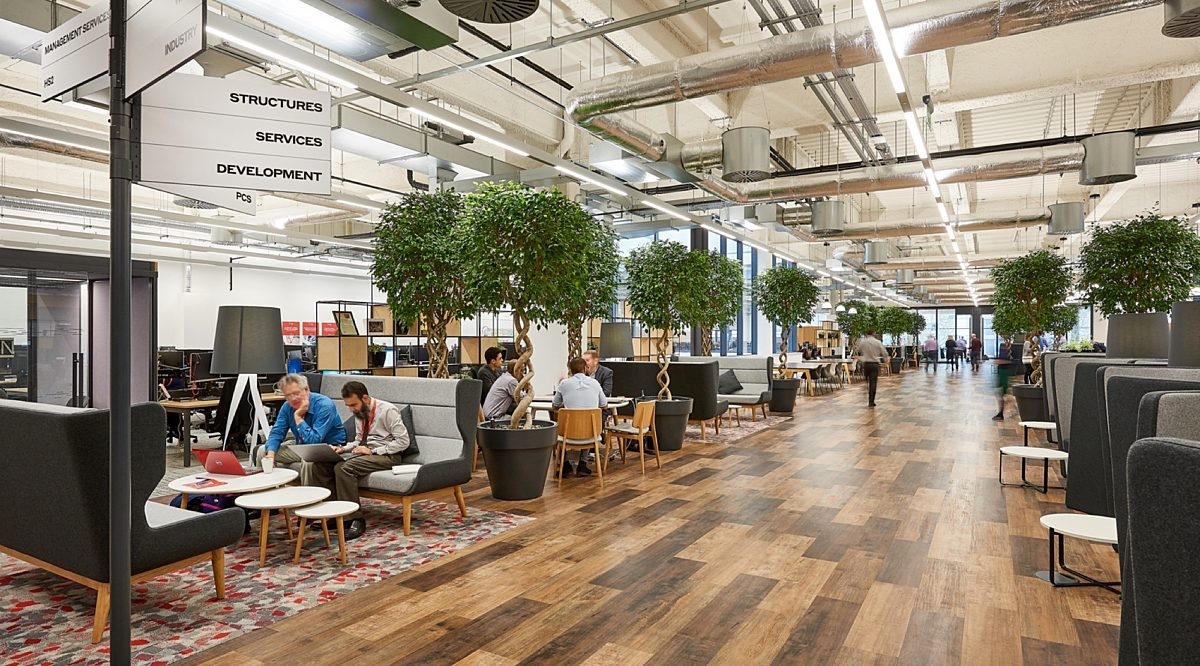 WSP office fit out with indoor trees