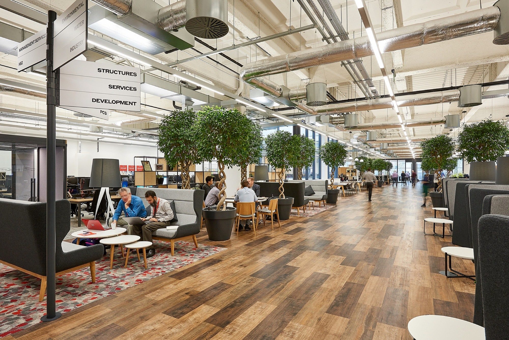 WSP office fit out with indoor trees