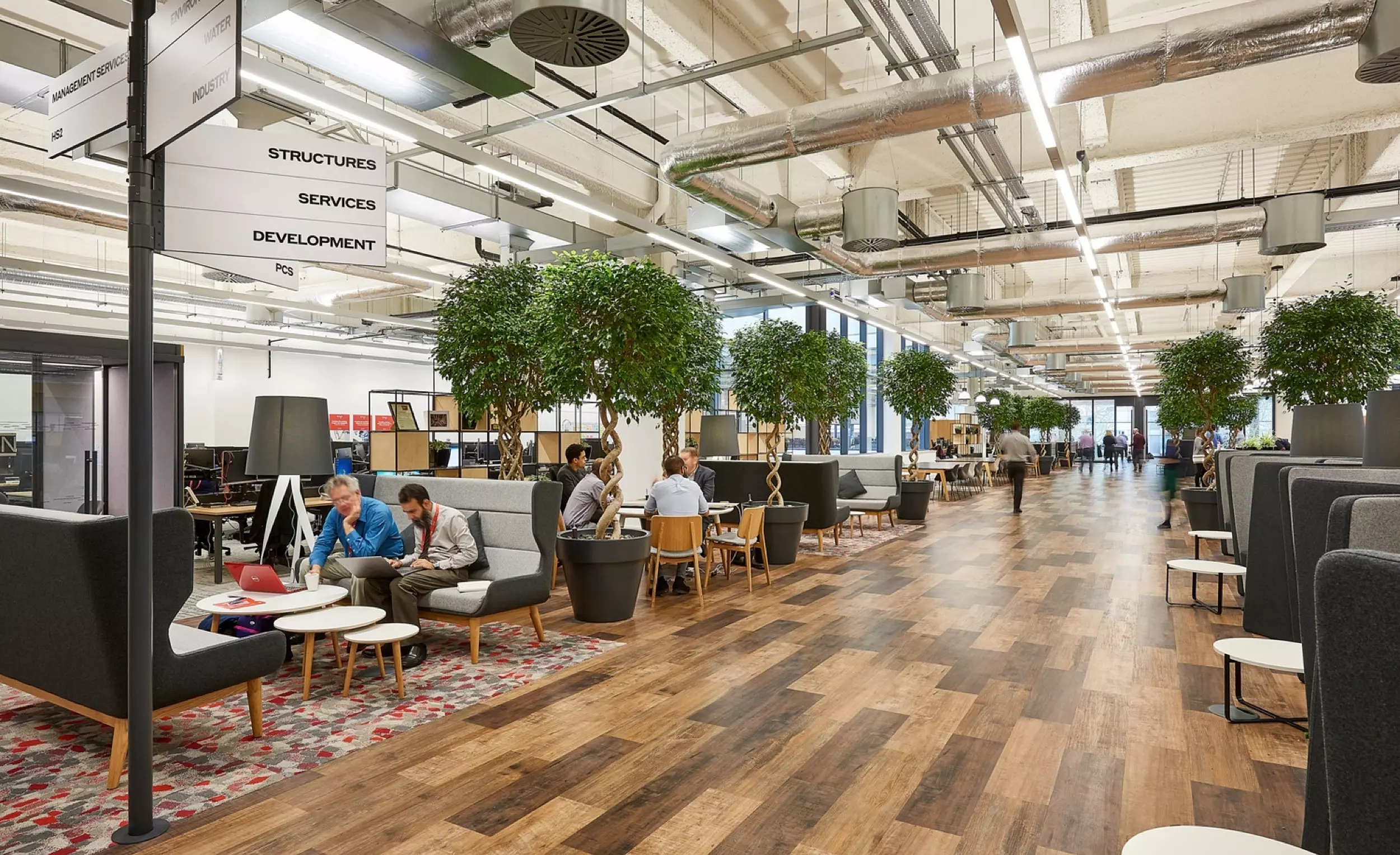 WSP office fit out with indoor trees