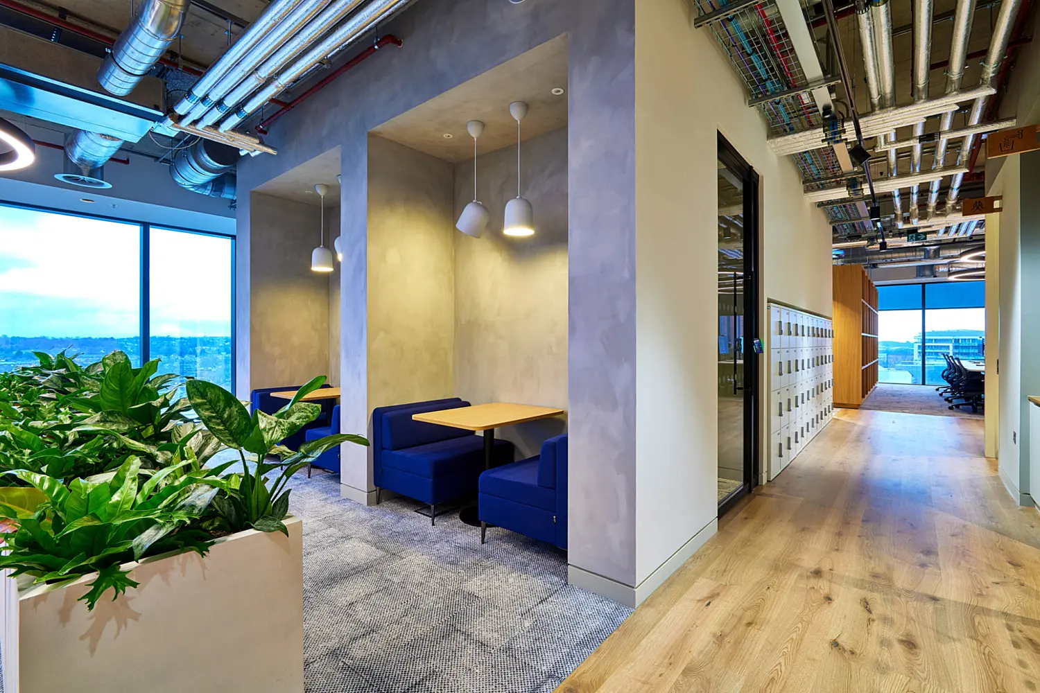 Office breakout zone with two small booth seating areas set into concrete effect wall recesses, each with blue banquette seating and a timber table under simple pendant lights. A large planter with leafy greenery sits in the foreground beside floor to ceiling windows. To the right, a timber floor corridor runs past lockers and glazed meeting rooms, with exposed ductwork and services overhead.
