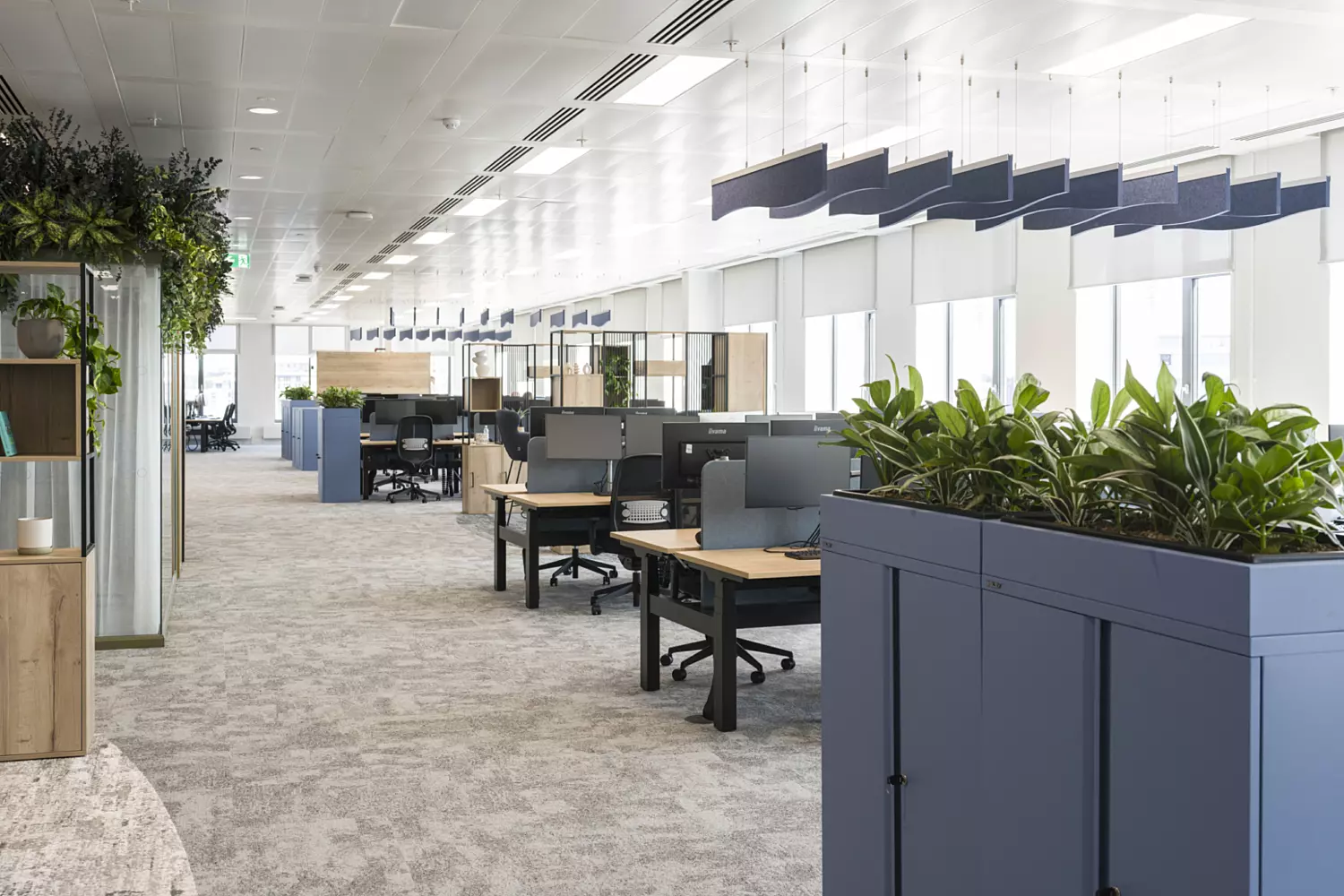 Open plan office with rows of workstations, ergonomic chairs, computer monitors, natural light from large windows, acoustic ceiling panels and greenery for a modern hybrid workspace.