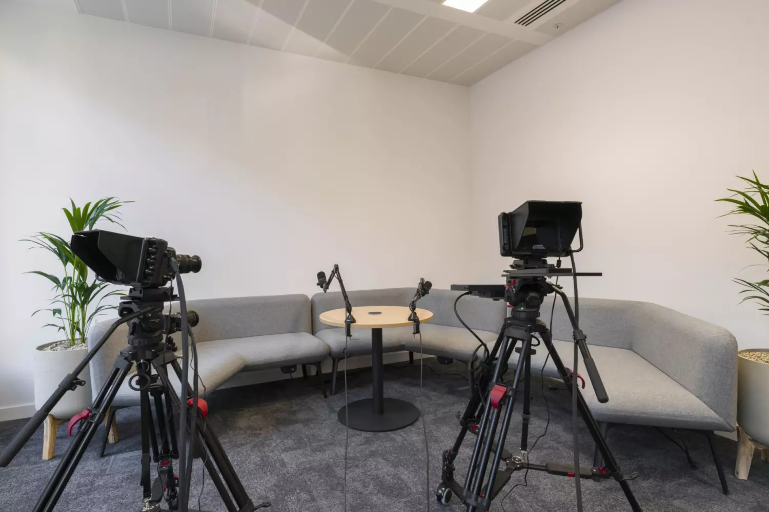 Compact recording studio with grey sofas in a semi-circle, two cameras on tripods, microphones on a round table and potted plants for a modern podcast setup.