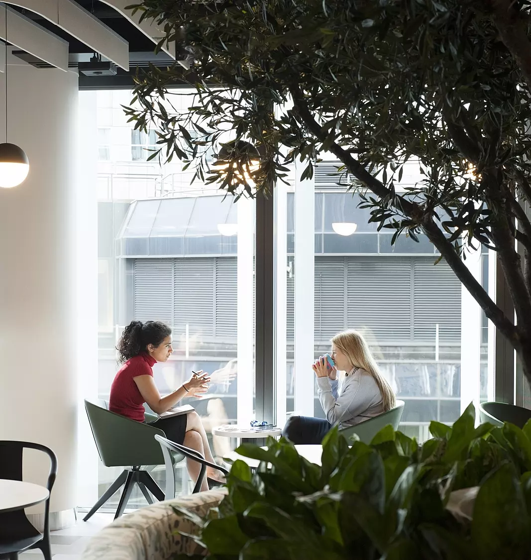 Biophilia in the workplace
