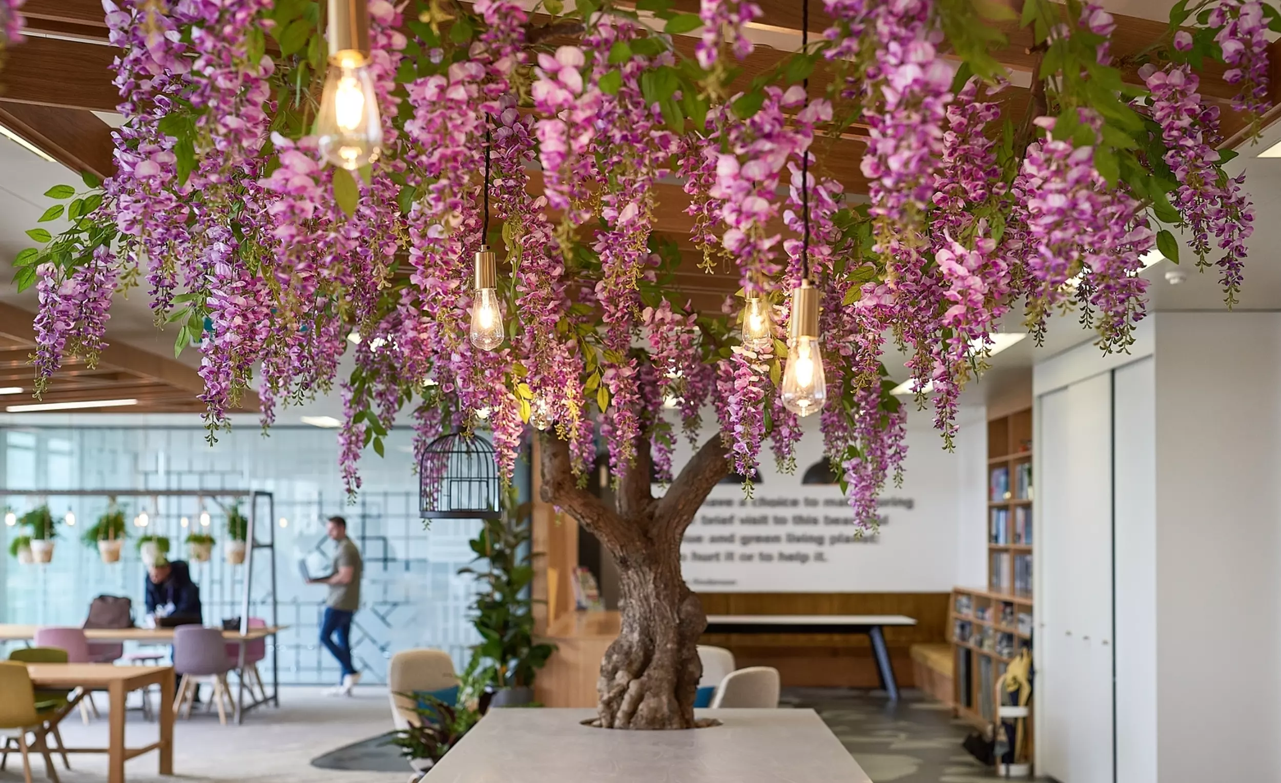 Biopilic office design